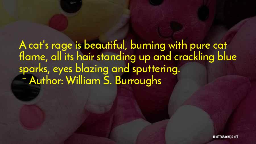 Cats Eyes Quotes By William S. Burroughs