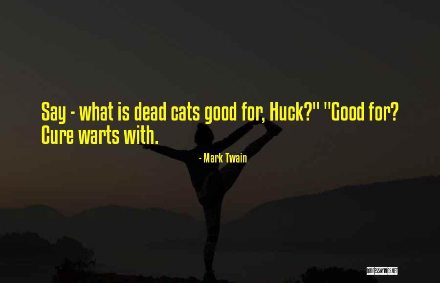 Cats Mark Twain Quotes By Mark Twain