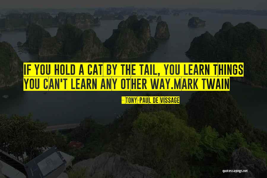 Cats Mark Twain Quotes By Tony-Paul De Vissage Cats Mark Twain Quotes By Tony-Paul De Vissage