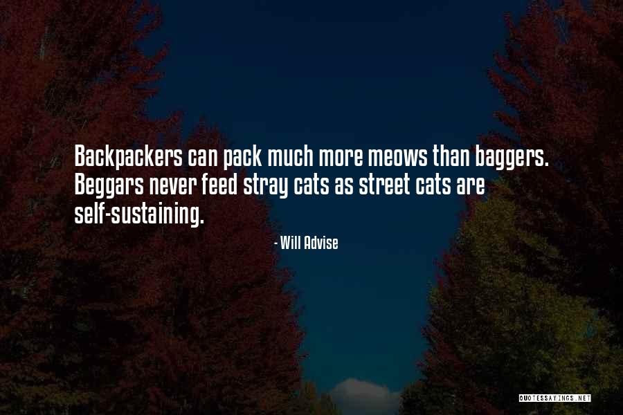 Cats Meow And Other Quotes By Will Advise Cats Meow And Other Quotes By Will Advise