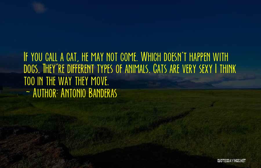 Cats Over Dogs Quotes By Antonio Banderas