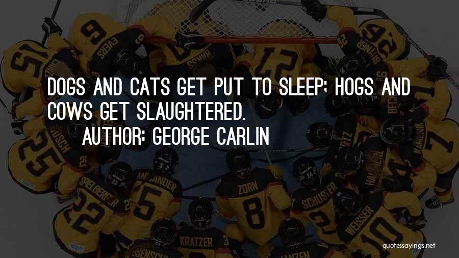 Cats Over Dogs Quotes By George Carlin