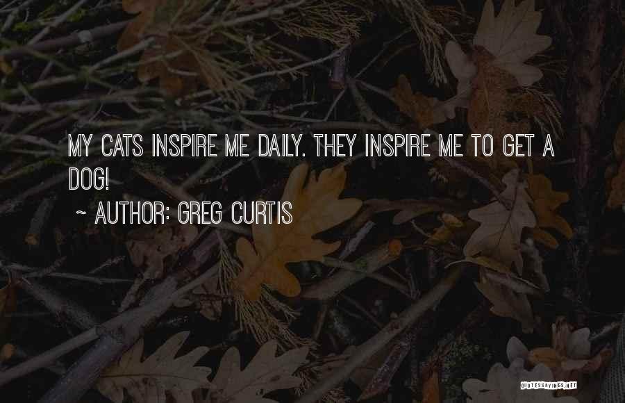 Cats Over Dogs Quotes By Greg Curtis