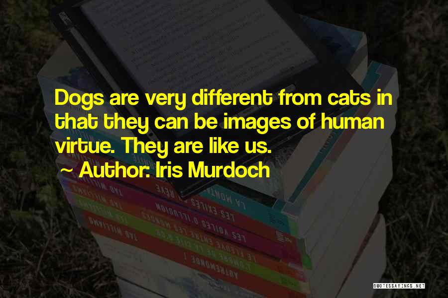 Cats Over Dogs Quotes By Iris Murdoch