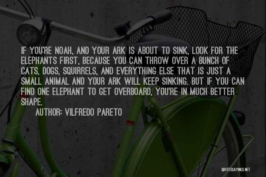 Cats Over Dogs Quotes By Vilfredo Pareto