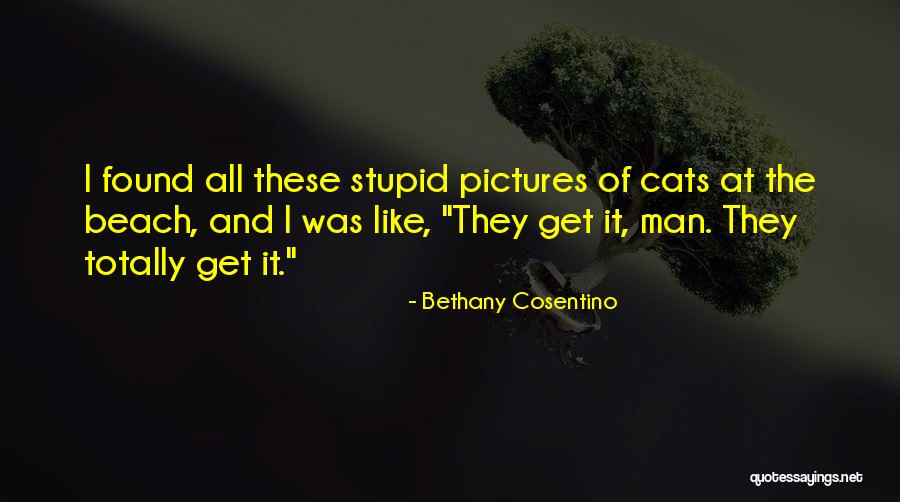 Cats Quotes By Bethany Cosentino