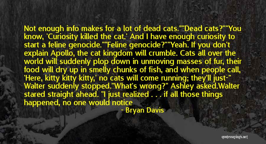 Cats Quotes By Bryan Davis Cats Quotes By Bryan Davis
