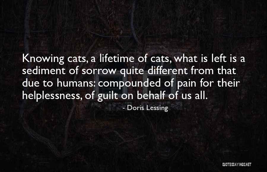 Cats Quotes By Doris Lessing Cats Quotes By Doris Lessing
