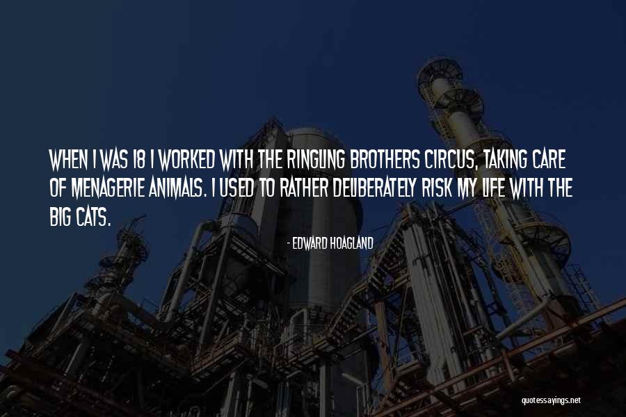 Cats Quotes By Edward Hoagland Cats Quotes By Edward Hoagland