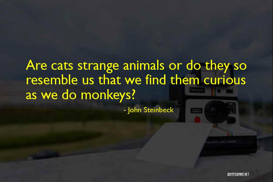 Cats Quotes By John Steinbeck