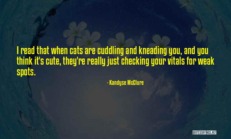 Cats Quotes By Kandyse McClure Cats Quotes By Kandyse McClure