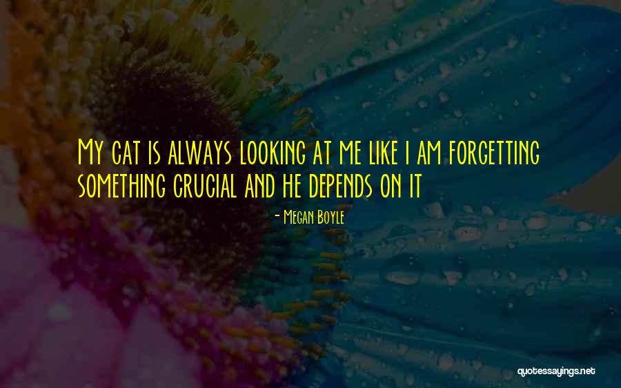 Cats Quotes By Megan Boyle