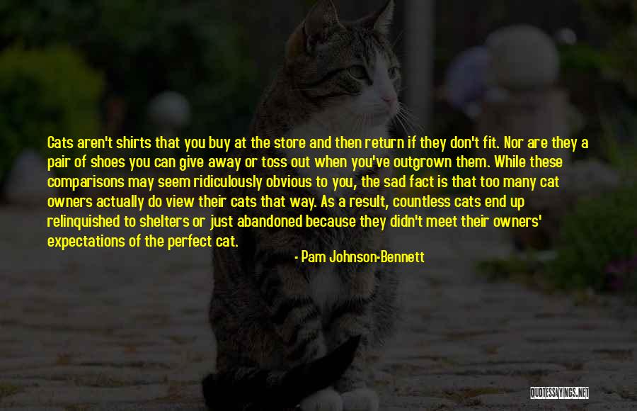 Cats Quotes By Pam Johnson-Bennett Cats Quotes By Pam Johnson-Bennett