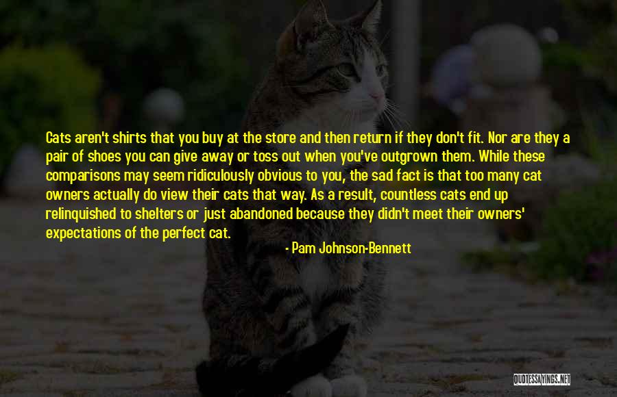 Cats Quotes By Pam Johnson-Bennett