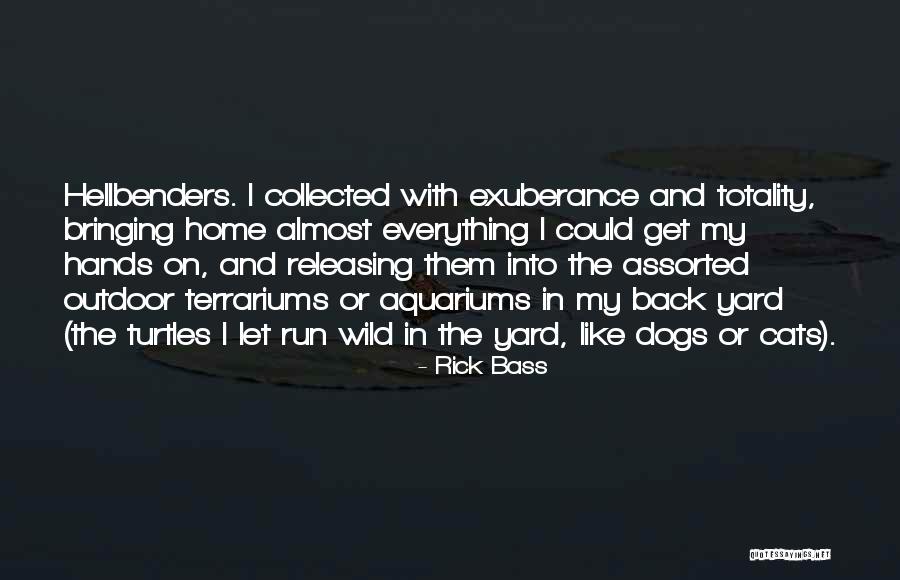 Cats Quotes By Rick Bass Cats Quotes By Rick Bass