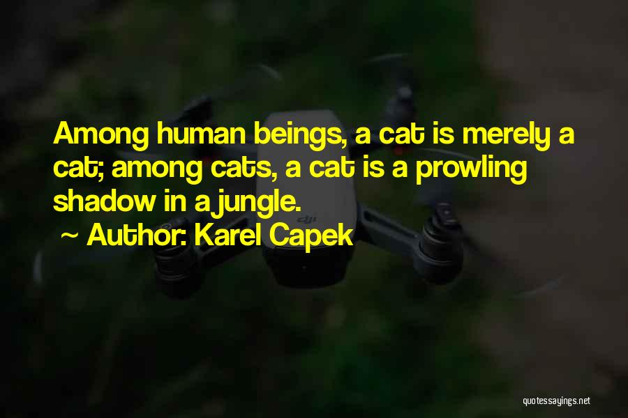 Cats Shadow Quotes By Karel Capek