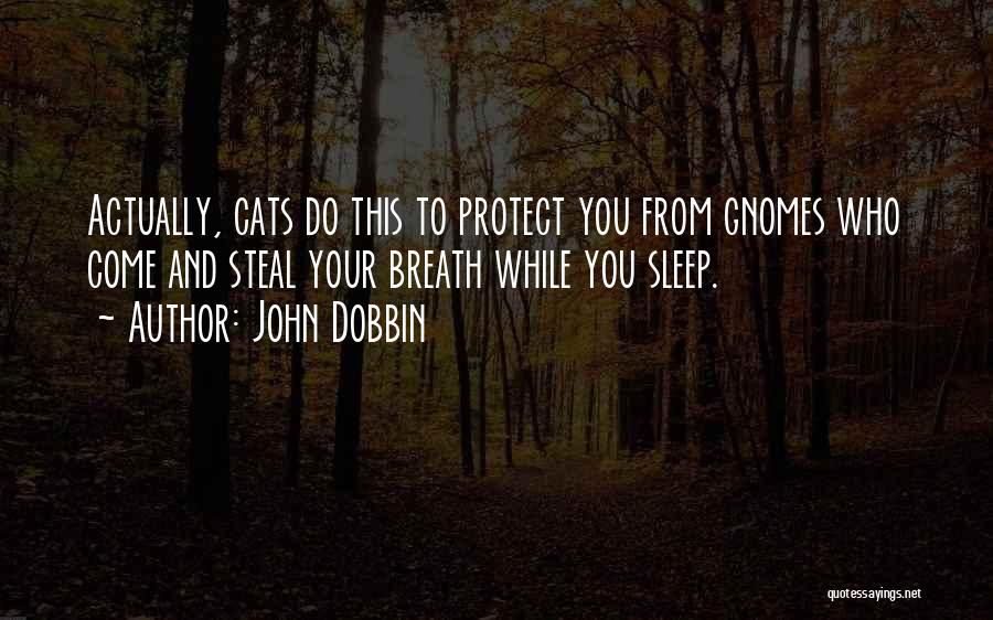 Cats Sleep Quotes By John Dobbin