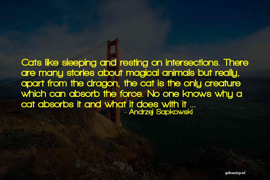 Cats Sleeping Quotes By Andrzej Sapkowski Cats Sleeping Quotes By Andrzej Sapkowski