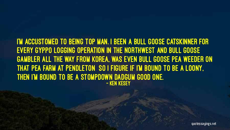 Catskinner Quotes By Ken Kesey Catskinner Quotes By Ken Kesey
