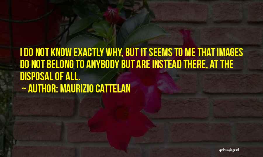 Cattelan Quotes By Maurizio Cattelan