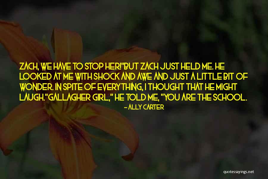 Cattery Insurance Quotes By Ally Carter Cattery Insurance Quotes By Ally Carter