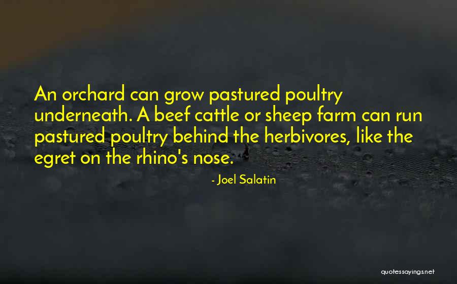 Cattle Farm Quotes By Joel Salatin Cattle Farm Quotes By Joel Salatin