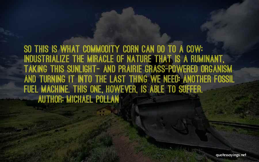 Cattle Industry Quotes By Michael Pollan