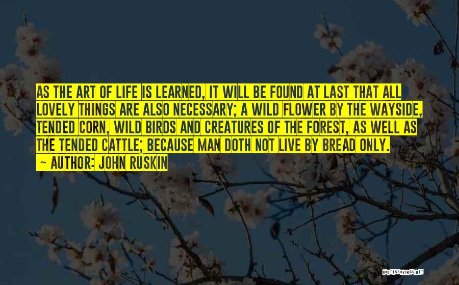 Cattle Man Quotes By John Ruskin