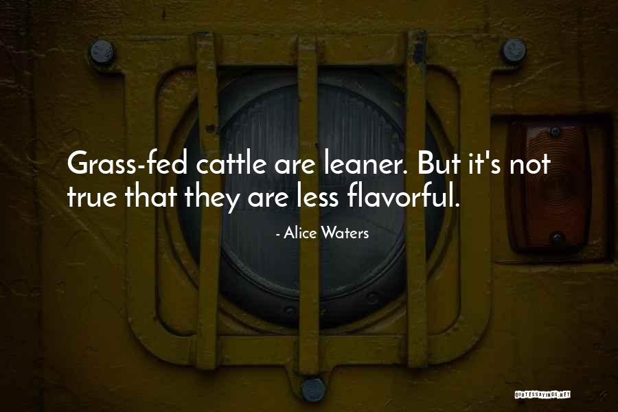 Cattle Quotes By Alice Waters