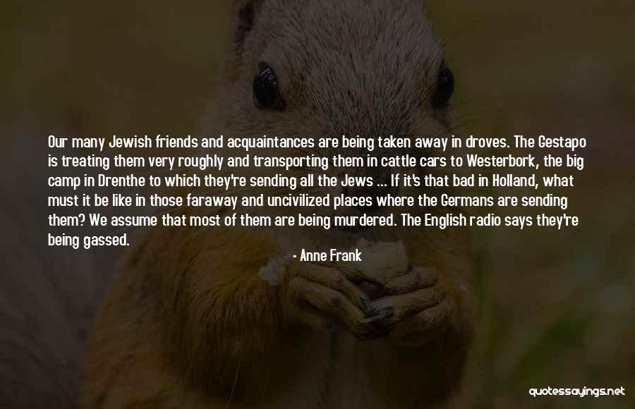Cattle Quotes By Anne Frank Cattle Quotes By Anne Frank