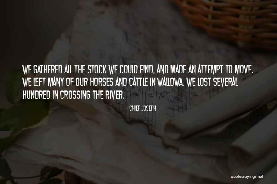 Cattle Quotes By Chief Joseph Cattle Quotes By Chief Joseph