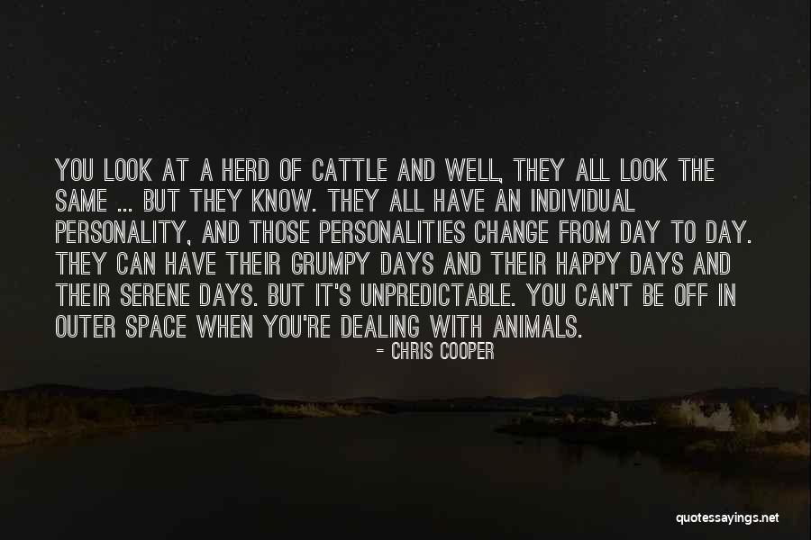 Cattle Quotes By Chris Cooper Cattle Quotes By Chris Cooper