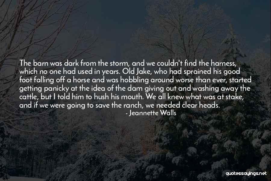 Cattle Quotes By Jeannette Walls Cattle Quotes By Jeannette Walls