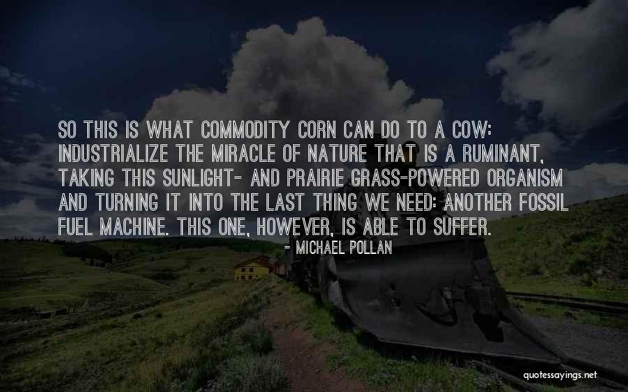 Cattle Quotes By Michael Pollan Cattle Quotes By Michael Pollan