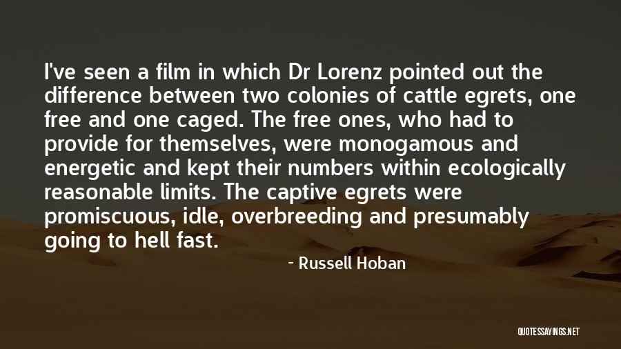 Cattle Quotes By Russell Hoban Cattle Quotes By Russell Hoban