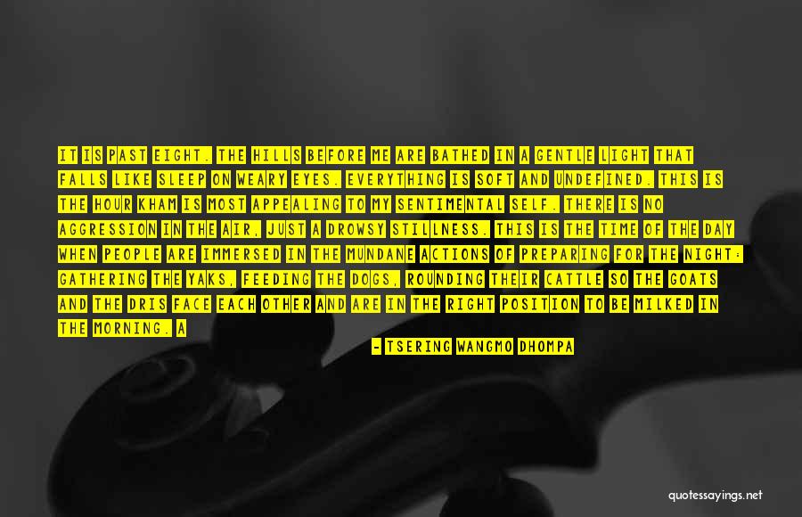 Cattle Quotes By Tsering Wangmo Dhompa Cattle Quotes By Tsering Wangmo Dhompa