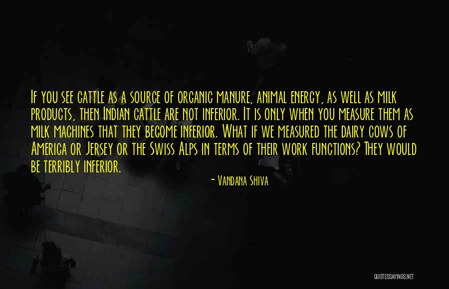 Cattle Quotes By Vandana Shiva Cattle Quotes By Vandana Shiva
