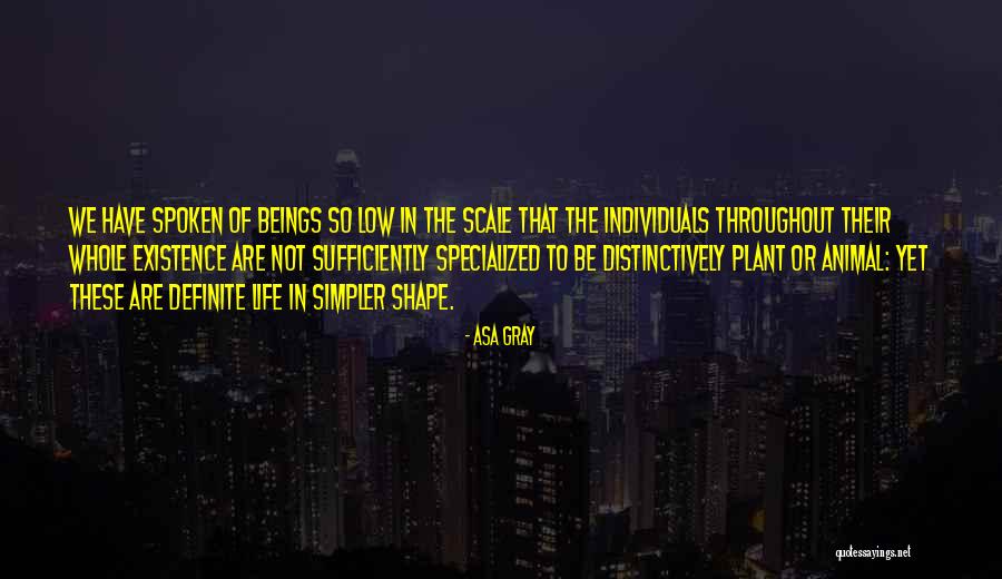 Cattle Stop Quotes By Asa Gray Cattle Stop Quotes By Asa Gray