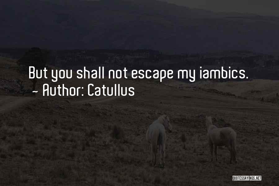 Catullus Quotes 369585