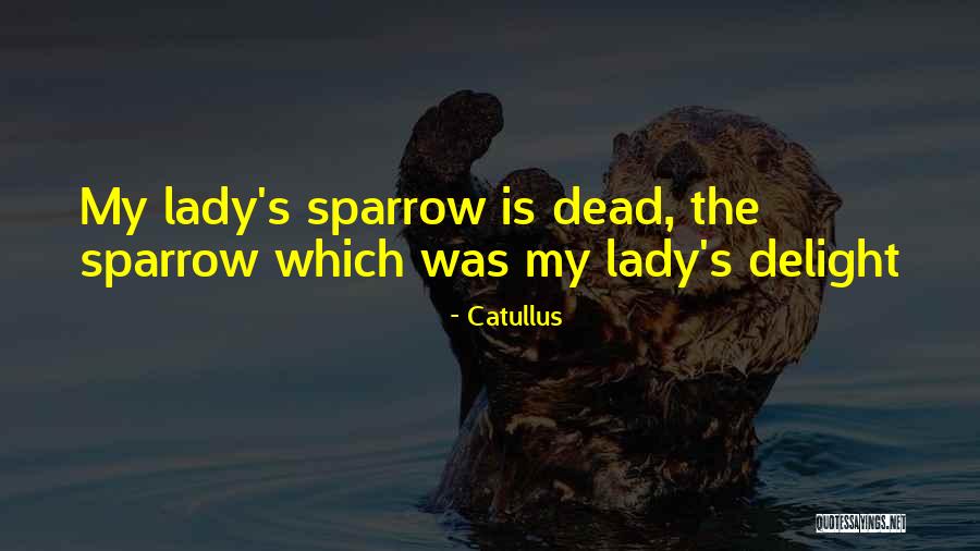 Catullus Quotes 764768