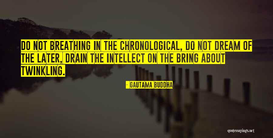Caturday Lounge Quotes By Gautama Buddha Caturday Lounge Quotes By Gautama Buddha