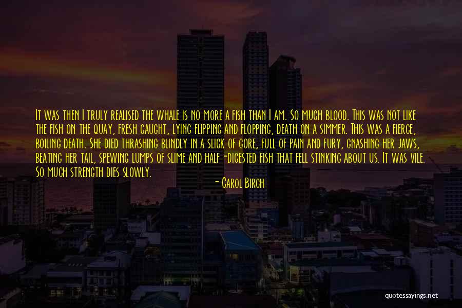 Cauchys Condensation Quotes By Carol Birch Cauchys Condensation Quotes By Carol Birch