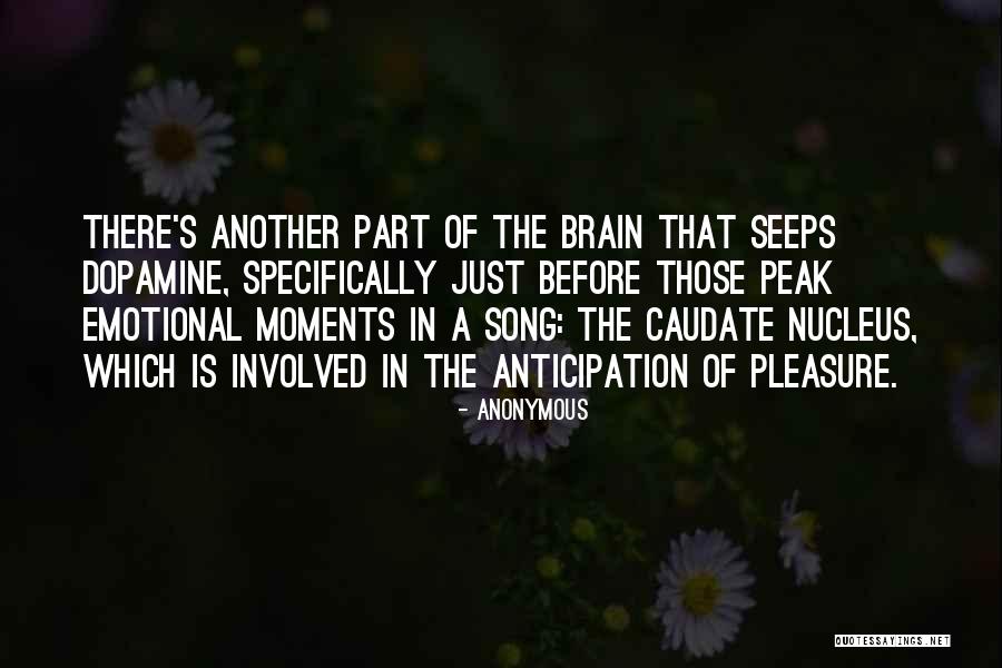 Caudate Nucleus Quotes By Anonymous Caudate Nucleus Quotes By Anonymous
