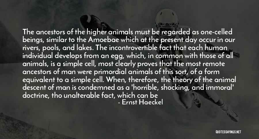 Caudillismo Significado Quotes By Ernst Haeckel Caudillismo Significado Quotes By Ernst Haeckel