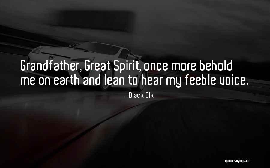 Caudron Vs Zanetti Quotes By Black Elk Caudron Vs Zanetti Quotes By Black Elk