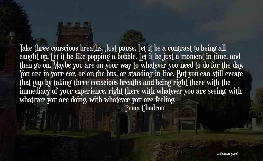 Caught Feelings Quotes By Pema Chodron Caught Feelings Quotes By Pema Chodron