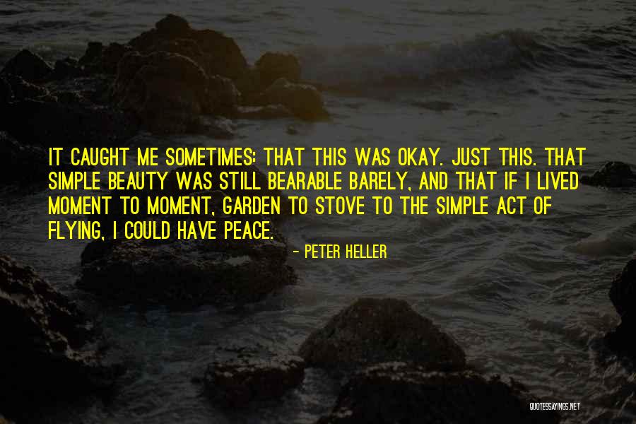 Caught In A Moment Of Peace Quotes By Peter Heller Caught In A Moment Of Peace Quotes By Peter Heller