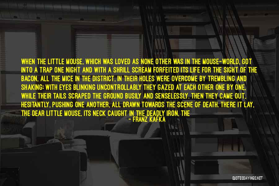 Caught In A Trap Quotes By Franz Kafka Caught In A Trap Quotes By Franz Kafka