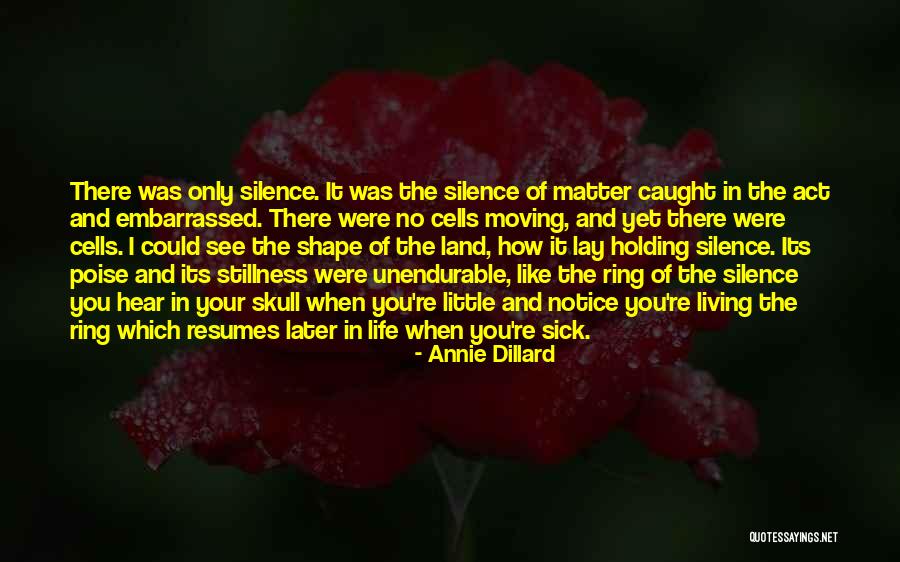 Caught In Act Quotes By Annie Dillard Caught In Act Quotes By Annie Dillard