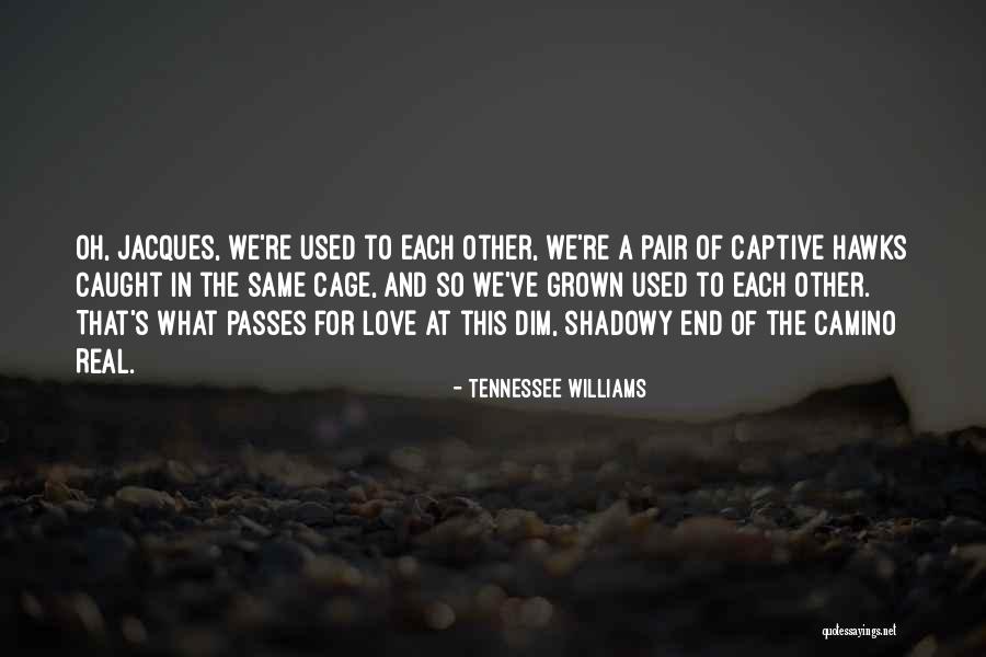 Caught In Love Quotes By Tennessee Williams